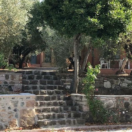 Pefka Rooms Mytilene Exterior photo